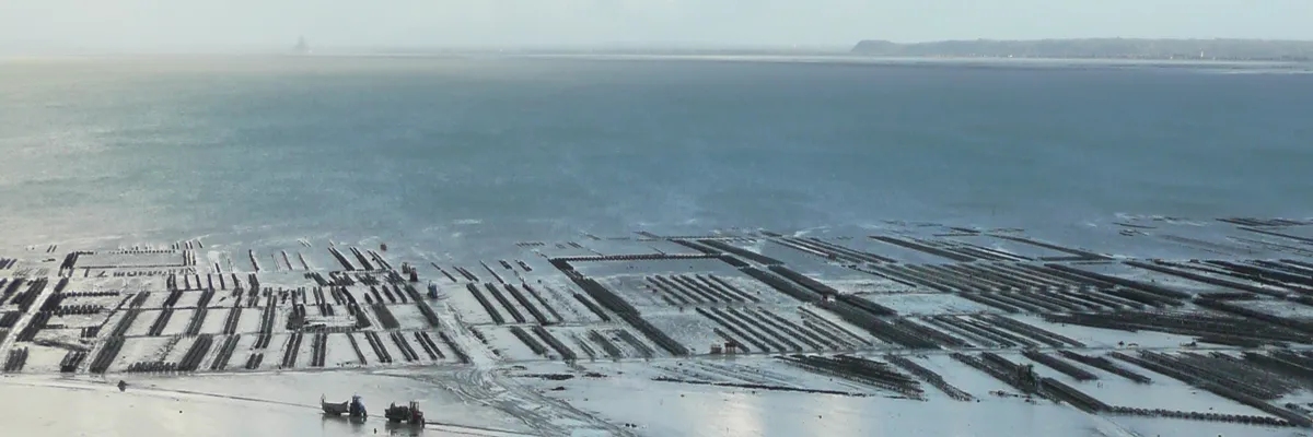 Image Installation douche sénior Cancale