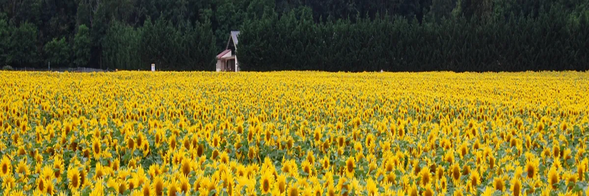 Image Installation douche sénior Centre-Val de Loire