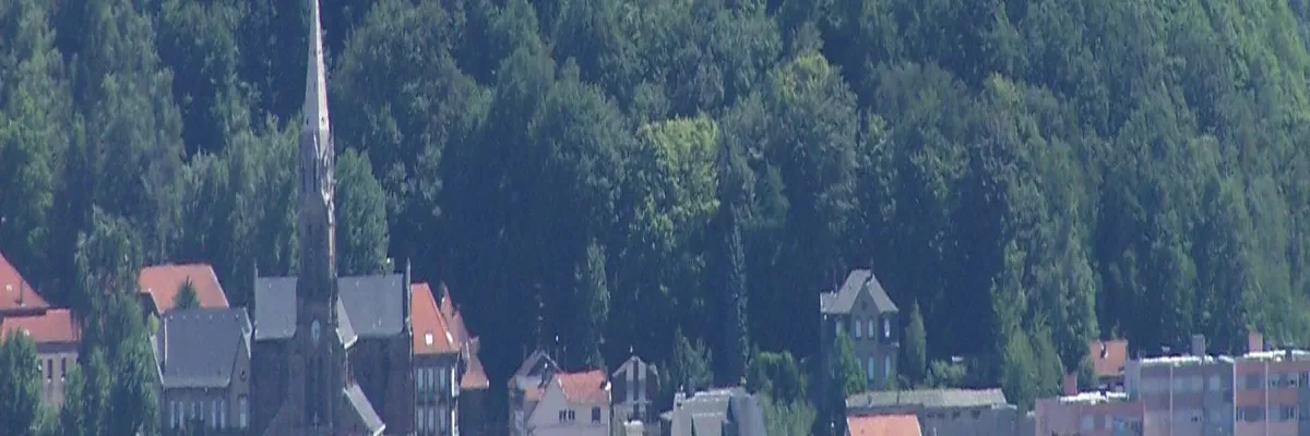 Image Installation douche sénior Forbach