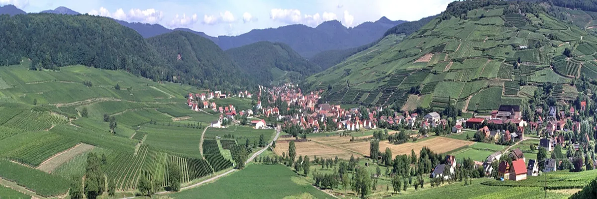 Image Installation douche sénior Grand Est