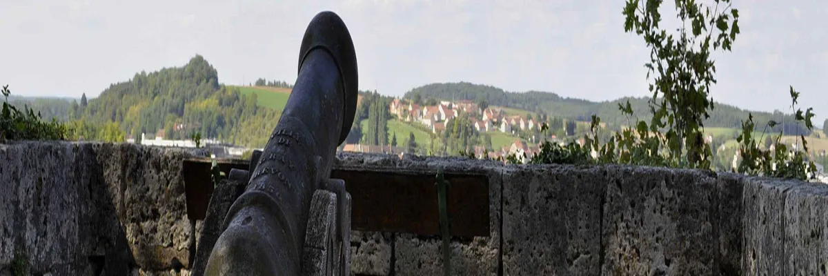 Image Installation douche sénior Gray