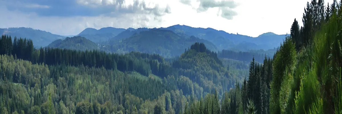 Image Installation douche sénior Haute-Vienne