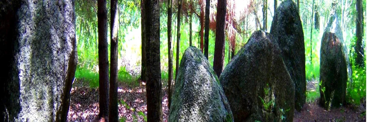 Image Installation douche sénior Languidic