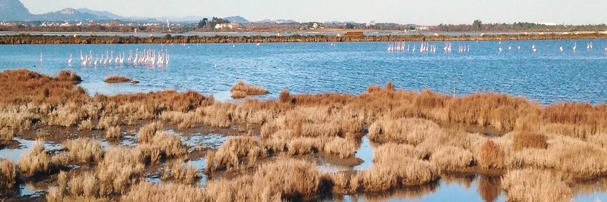Image Installation douche sénior Lattes