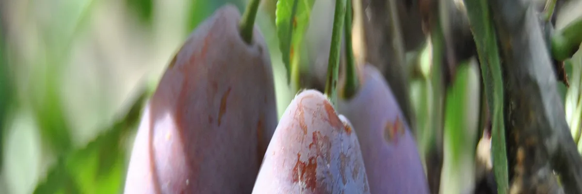 Image Installation douche sénior Lot-et-Garonne