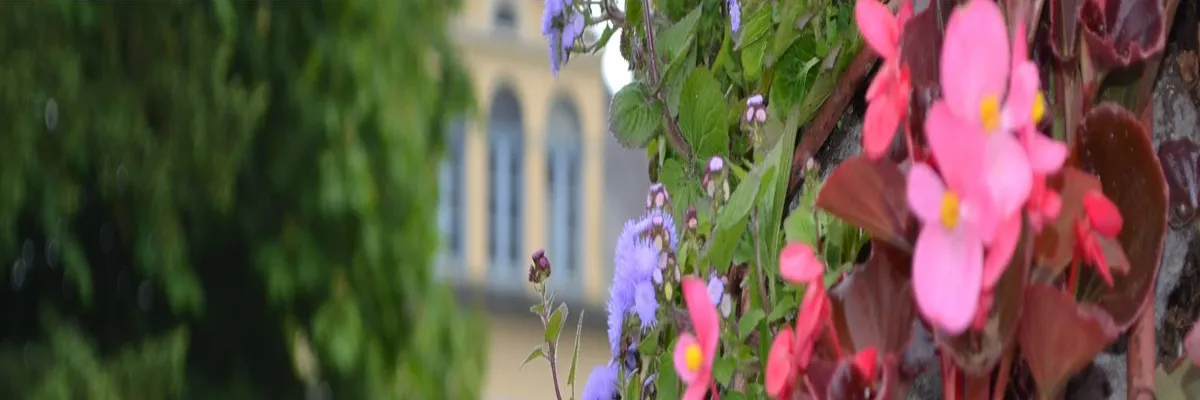 Image Installation douche sénior Saint-Étienne-au-Mont