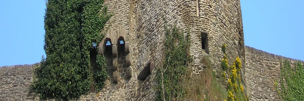 Image Installation douche sénior Saint-Lô