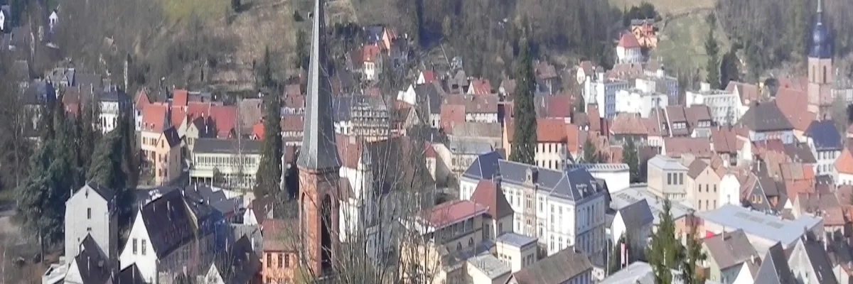 Image Installation douche sénior Sainte-Marie-aux-Mines