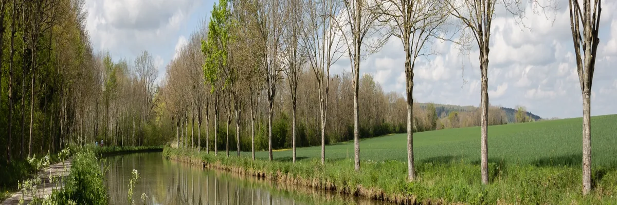 Image Installation douche sénior Yonne