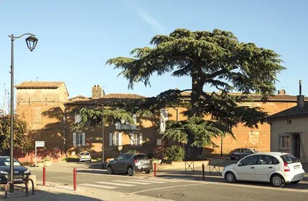 Douche Sénior Pro Installation douche sénior Aussonne