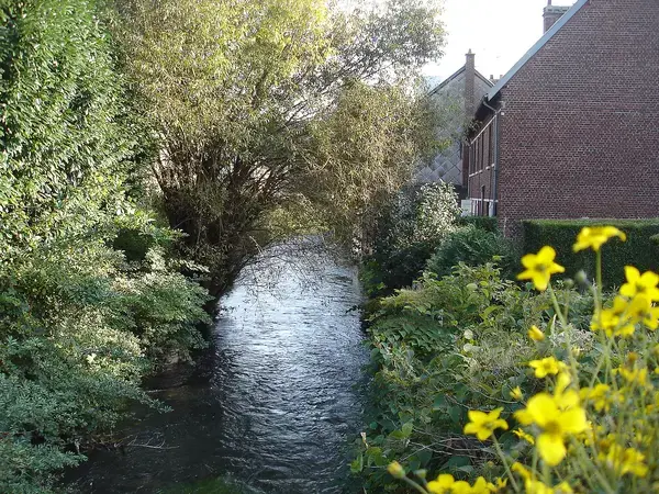 Douche Sénior Pro Installation douche sénior Déville-lès-Rouen