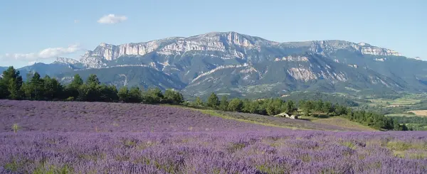 Douche Sénior Pro Installation douche sénior Drôme