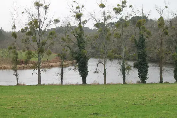 Douche Sénior Pro Installation douche sénior Muzillac